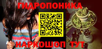 крисы Краснокаменск