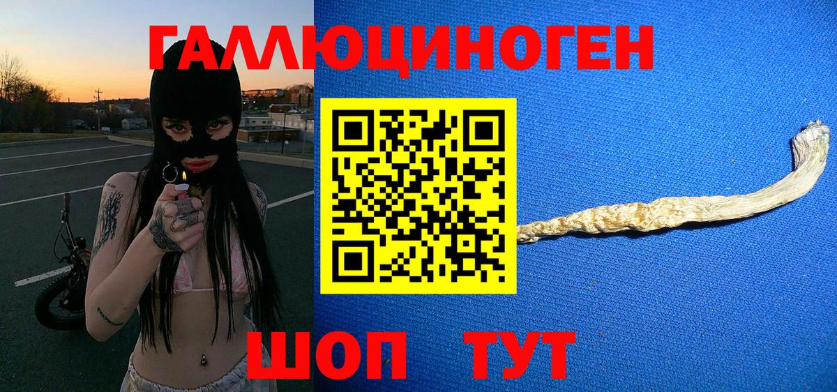 Камышин  Псилоцибиновые грибы Magic Shrooms  Псилоцибиновые грибы мицелий  Вход с VPN 